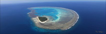 Lady Musgrave Island - QLD (PBH4 00 18363)